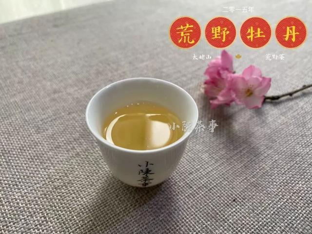 勐海白茶普洱茶哪个好