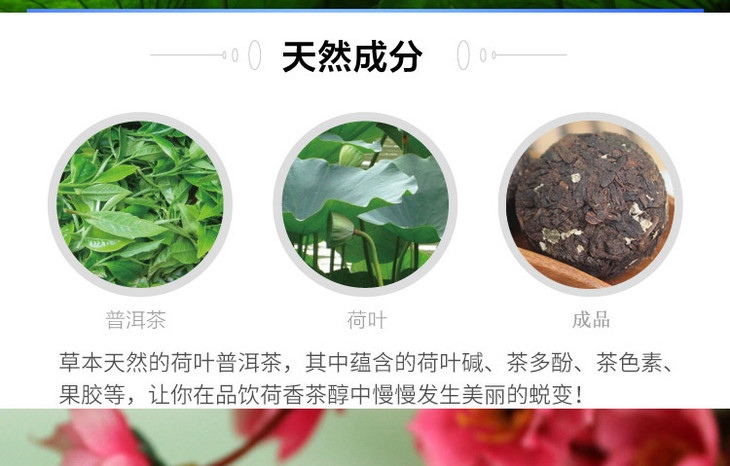 玫荷普洱茶包含内容