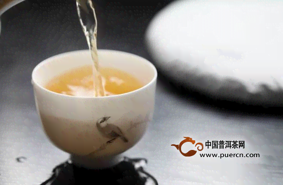 澜沧古茶邦威普洱茶品鉴评测