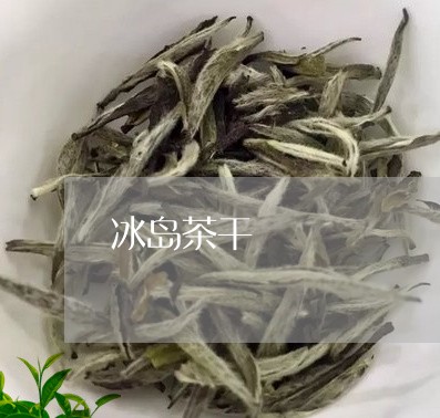 冰岛茶干茶的特点及鉴指南