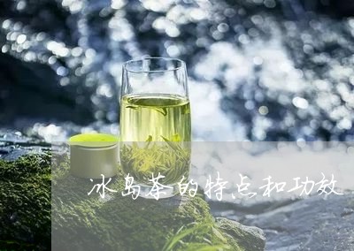 冰岛茶干茶的特点和功效