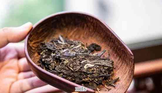 普洱茶隔夜存留指南：确保安全饮用的小贴士