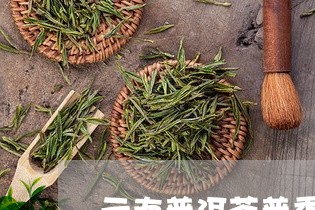 普洱茶首普是什么