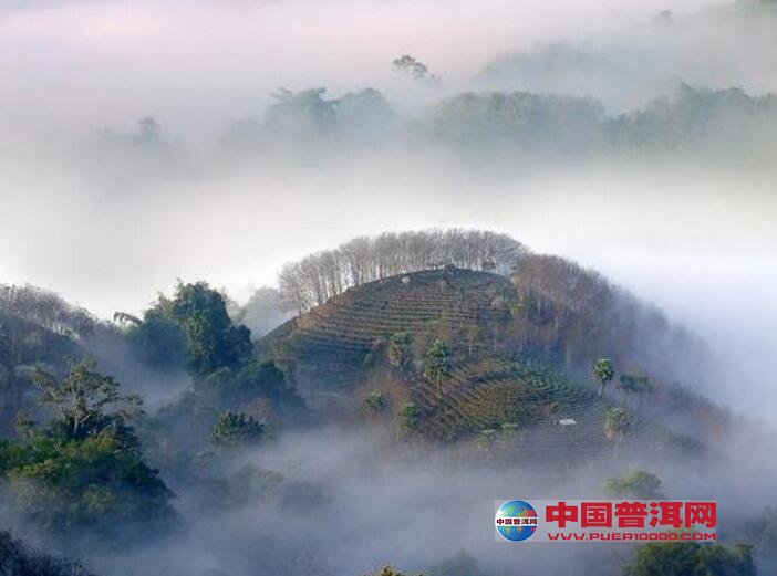 普洱茶的六大茶山是指攸乐、布朗、景迈、南糯、易武和勐海。