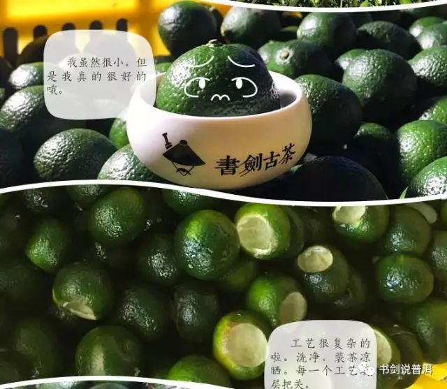 小青柑古树茶：春饮茶指南，助你享受健生活