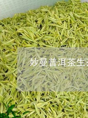 妙曼普洱茶的功效与作用