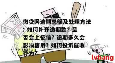 微网贷逾期怎么办可以怎么解决