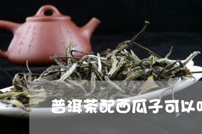 普洱茶能和瓜子一起吃吗