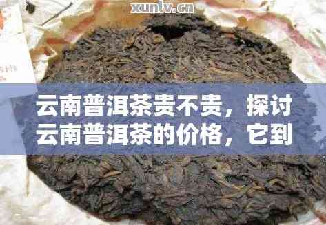 云南普洱茶多少钱一盘？