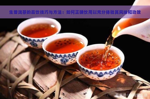 如何正确品鉴和享受普洱茶散料生茶的精髓