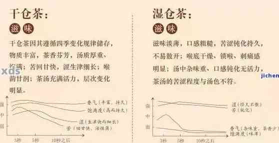 探究负离子对普洱茶陈化过程中的影响，全面了解其潜在作用与效果