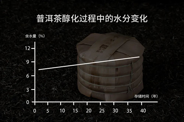 探究负离子对普洱茶陈化过程中的影响，全面了解其潜在作用与效果