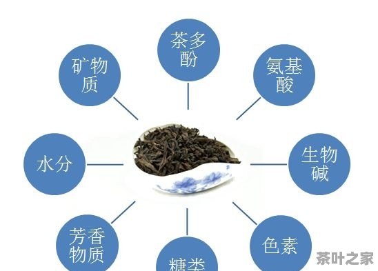 负离子对普洱茶转化