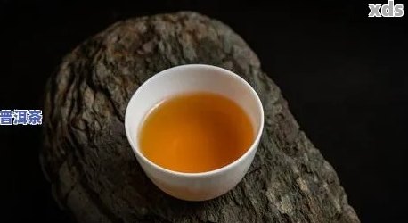 探索普洱茶中的碳味之谜：揭秘其独特的香气来源