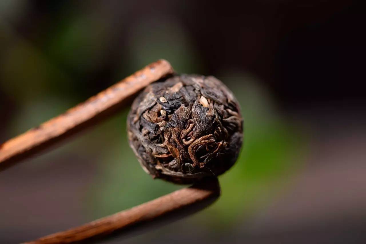 普洱茶为什么有碳味