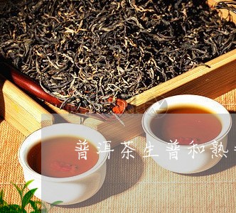 生普和熟普洱茶哪个好喝点