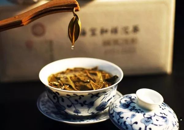 血脂高喝什么普洱茶好