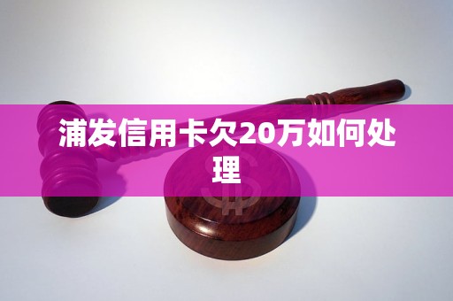 8张信用卡欠了24万怎么处理