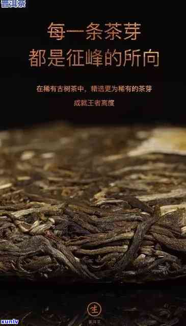 《探秘老班章：揭秘藏茶之巅的秘密》