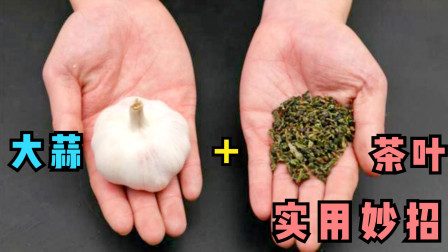 痛风患者适合饮用的茶叶推荐，缓解症状的天然选择