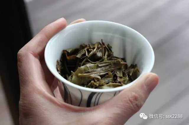 班盆普洱茶生茶的特点