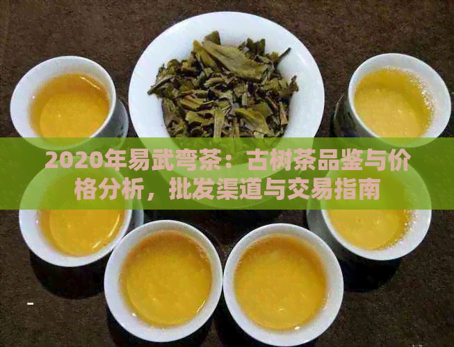 探究易武古树红茶：品鉴与价格解析