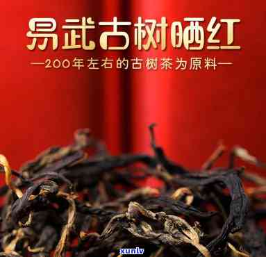 探究易武古树红茶：品鉴与价格解析