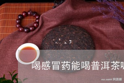 喝了普洱茶可以喝感冒药吗