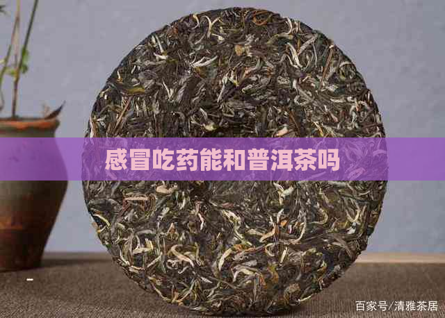 喝了普洱茶可以喝感冒药吗