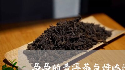 茶马源的普洱茶好吗