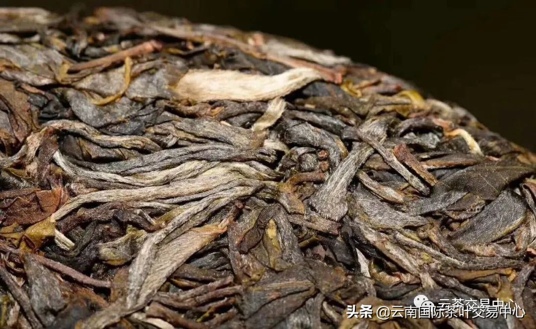 比较分析：安化黑茶与普洱茶的综合比较