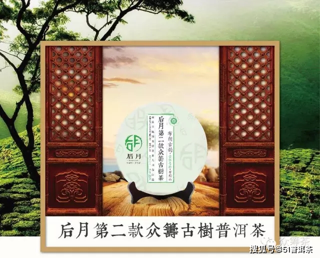 古树茶之韵：布朗族春特选普洱茶品鉴