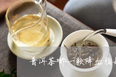 普洱茶的哪个系列降血脂