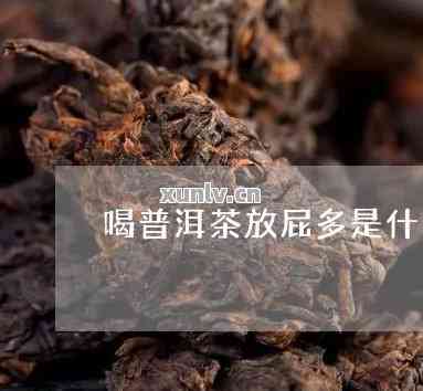 喝老普洱茶后频繁放屁的原因解析