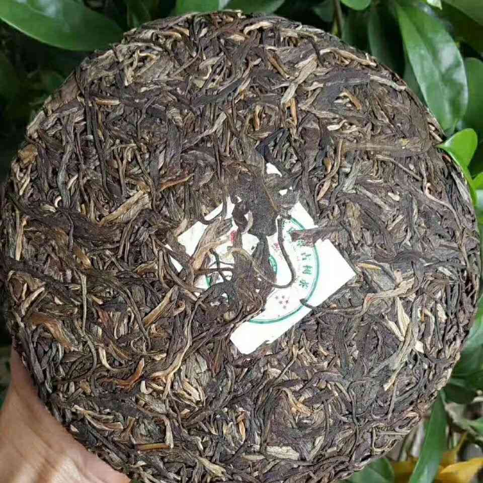 普洱茶中五星是什么茶类的？