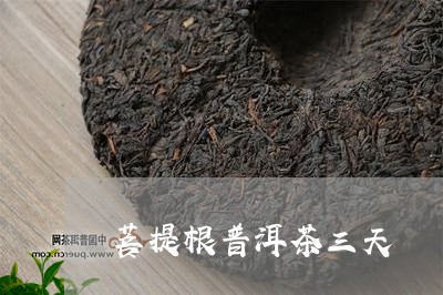 普洱茶泡菩提根热茶与凉茶哪个更好喝？