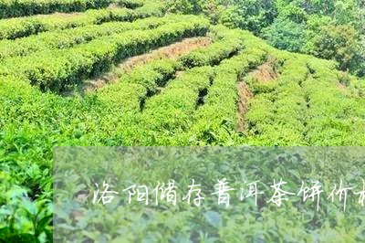 洛阳市内存普洱茶饼的地点探秘