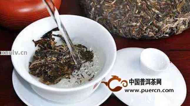 泡普洱茶的投茶量：如何确定泡制比例