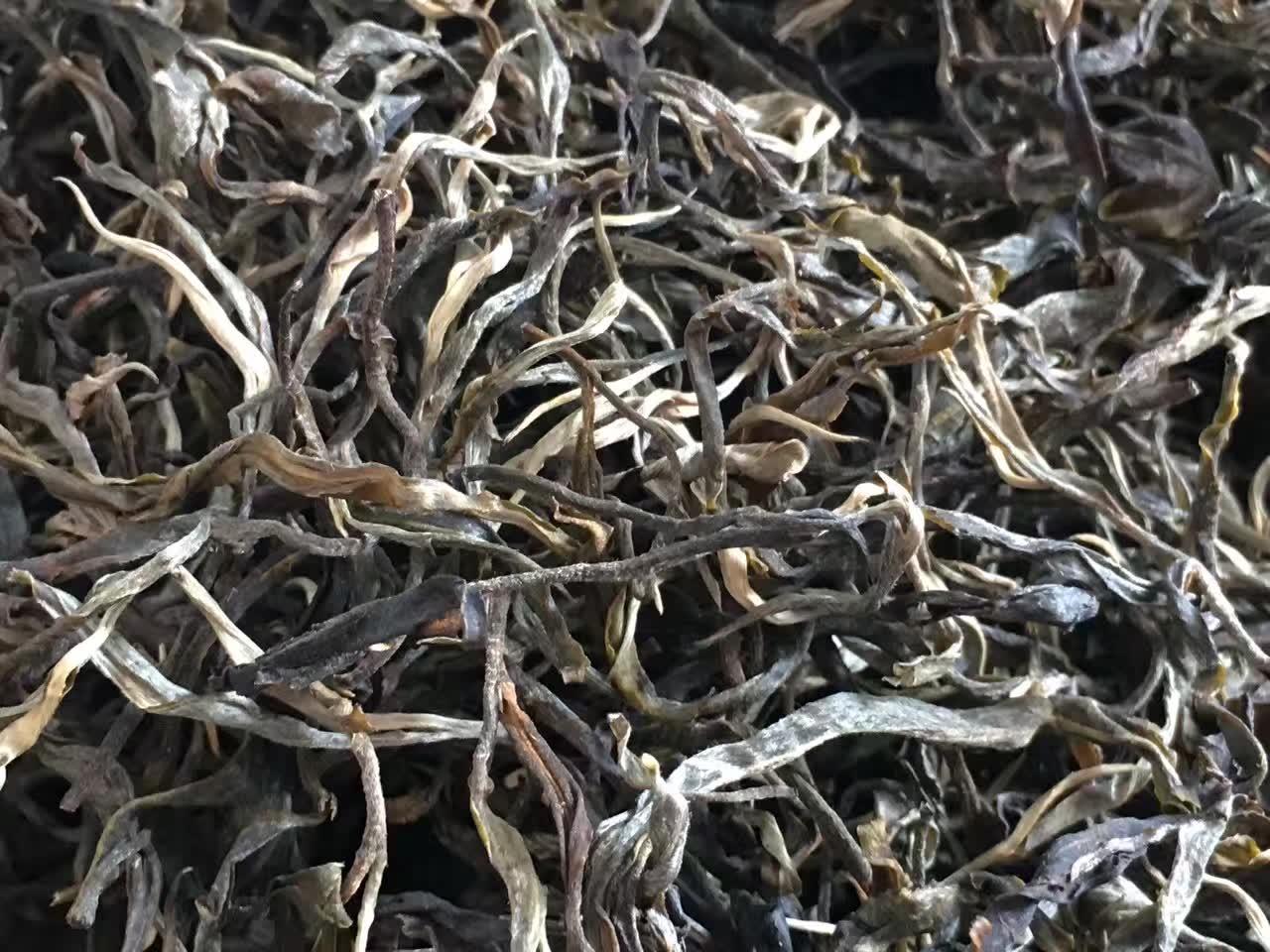 普洱茶采摘时节