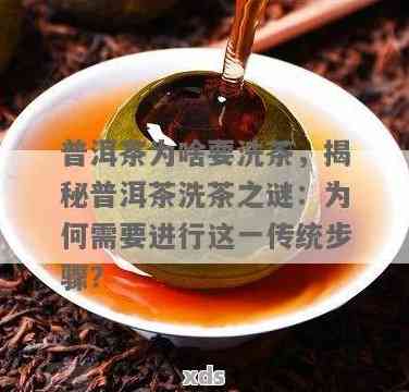 普洱茶冲泡前需不需清洗？揭秘茶文化背后的科学原理