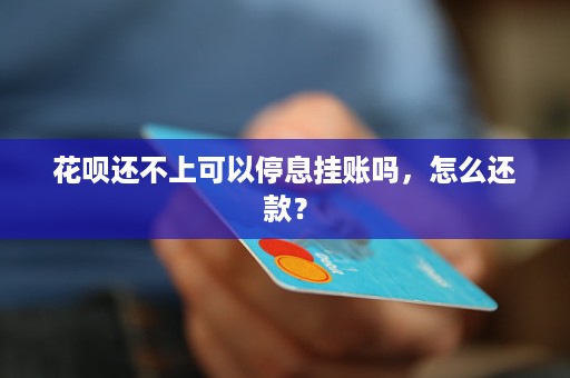 什么情况下不可以停息挂账