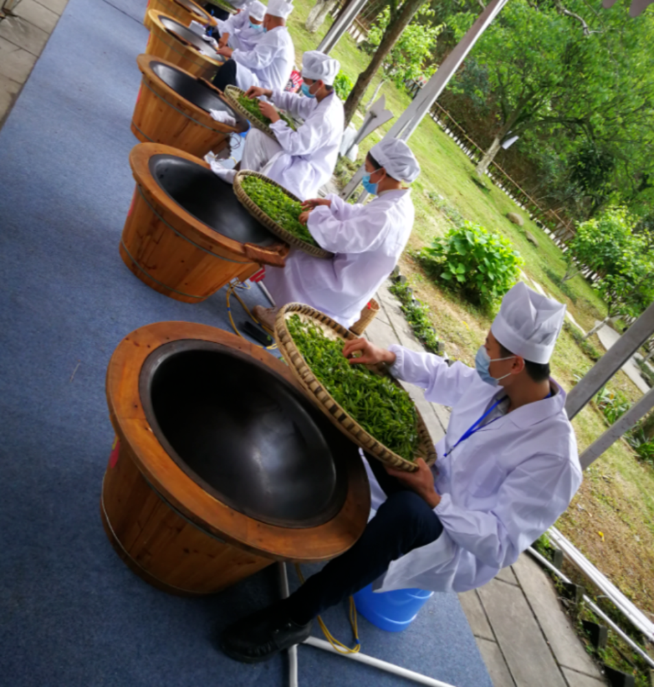 青城山茶的种植和制作