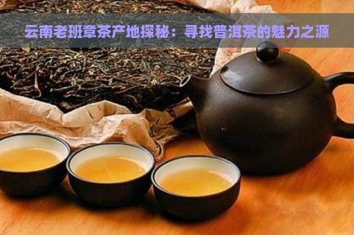 老班章茶产地解析：揭秘云南普洱茶的神秘之源