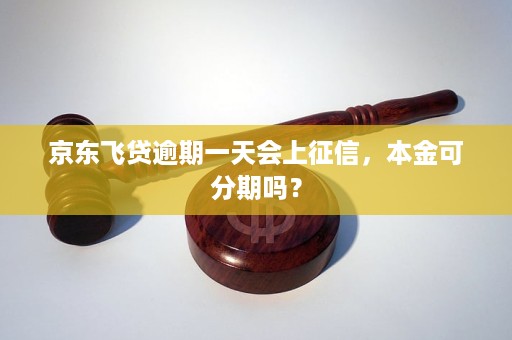 飞贷逾期一天到底会不会上怎么办理