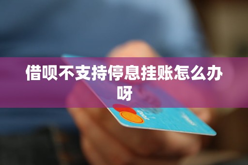 支付宝借呗挂账可以停息吗怎么办