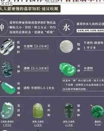 翡翠的真伪辨别与投资价值探讨