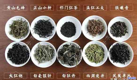 茶水比例1:50，适合泡制各种茶叶的比例指南