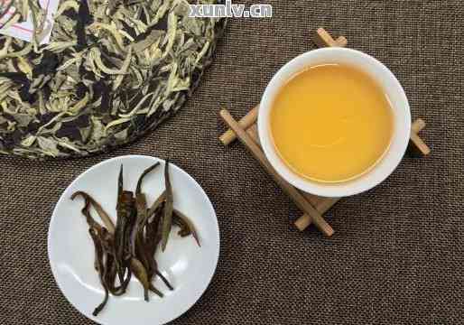 黄金叶普洱茶生茶口感体验：生茶好还是熟茶更适宜饮用？