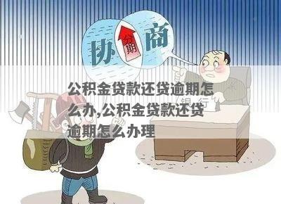 公积金贷款逾期5天怎么处理