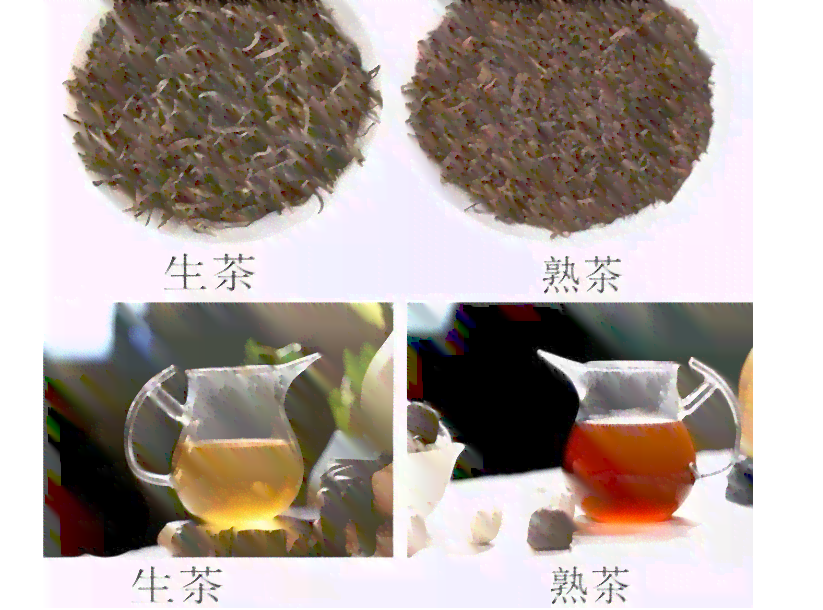 怎样分辨普洱茶是不是红茶